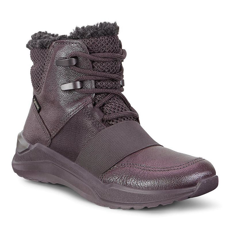 Botas Ecco Intervene Para Niños,Moradas,708392-WLT